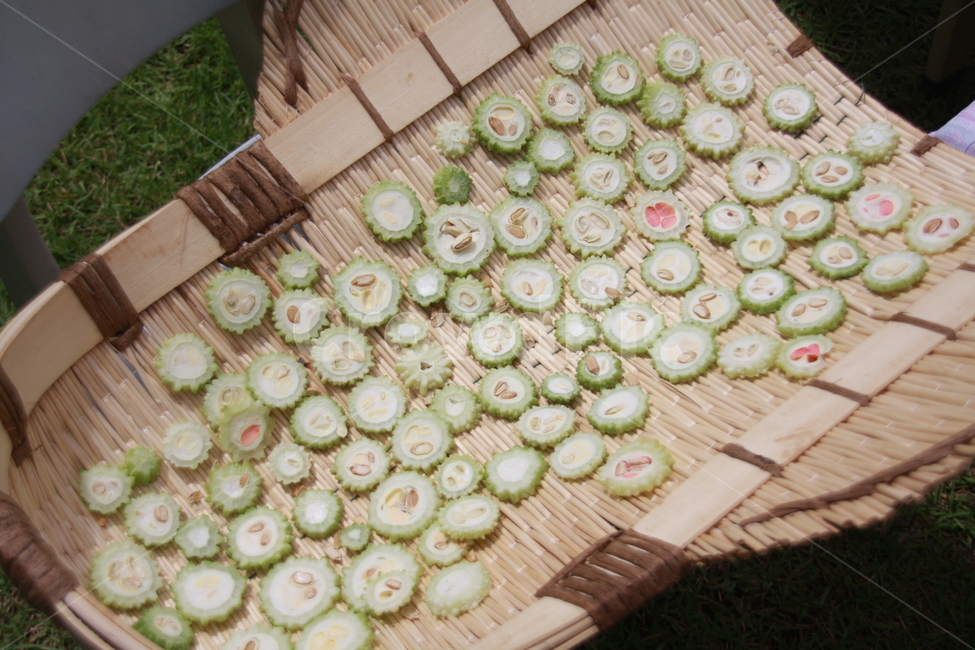 여주,말린여주,말린채소,키,토속음식,한국전통,한국문화,korean traditional,korean culture,채소,야채,vegetables