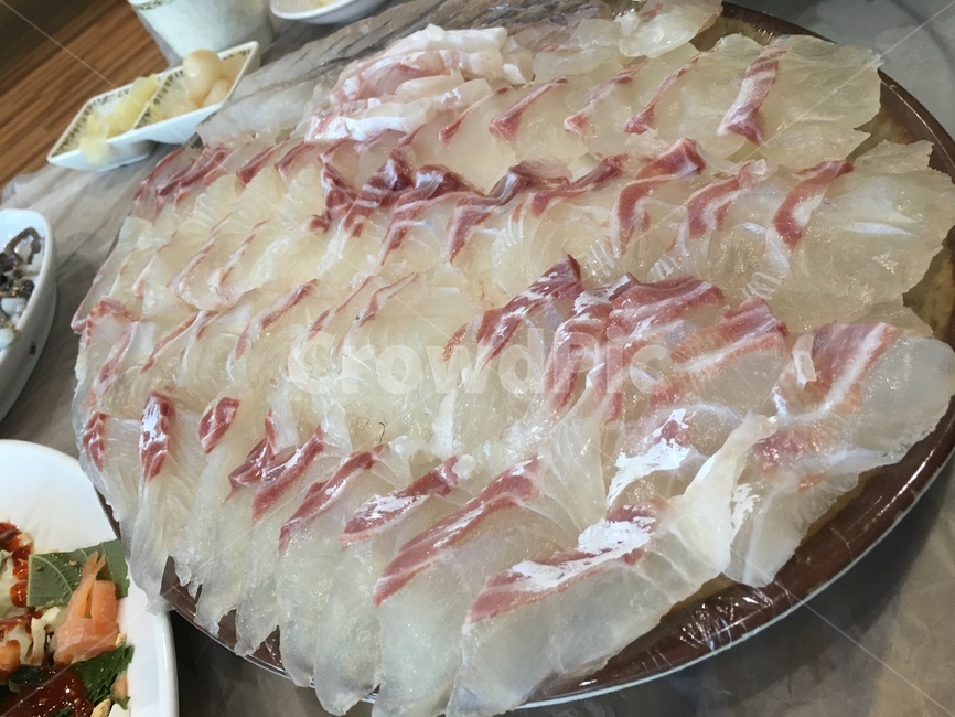 바다,회,음식,밥,맛집