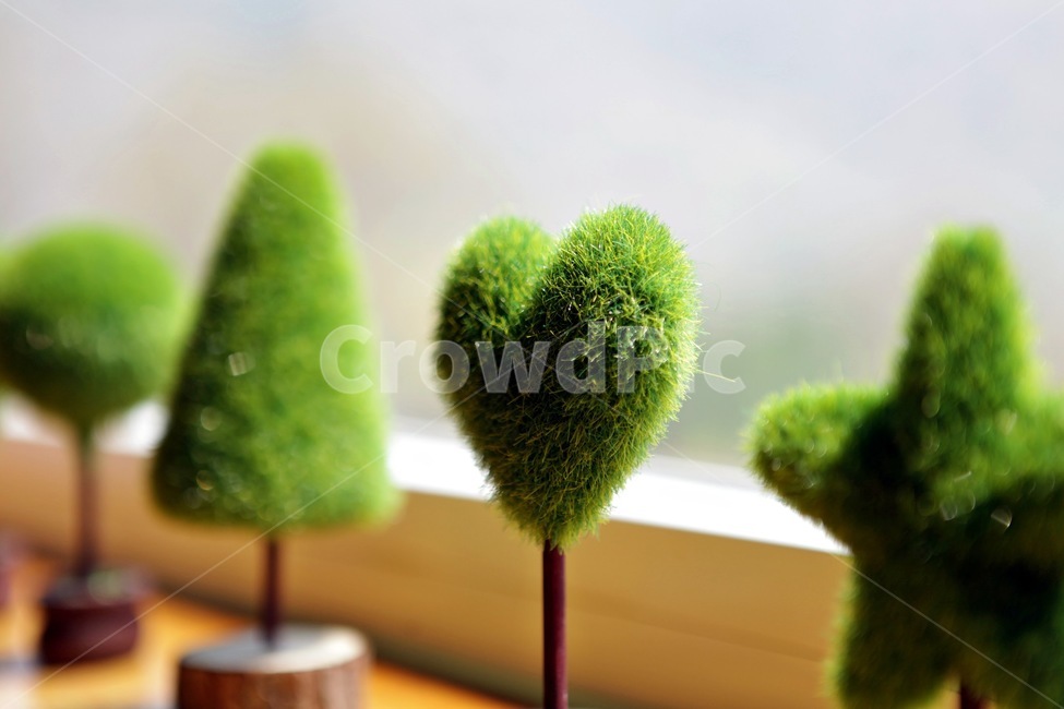 green,초록,식물,하트,별