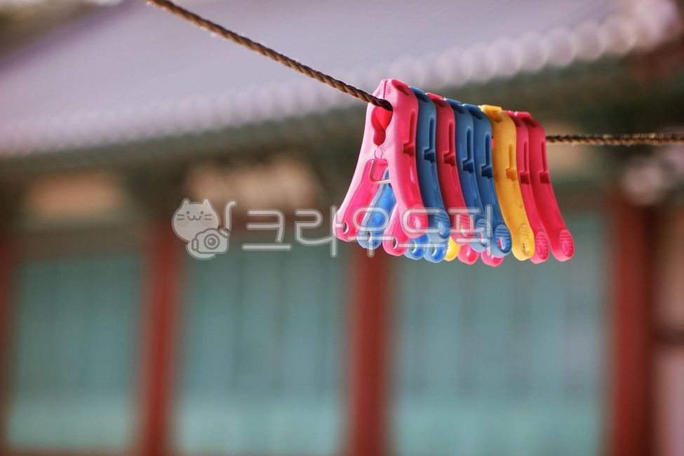 clothespin,clothesline,rope,pattern,house dog,colorful
