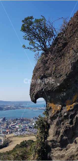제주도,성산일출봉,독수리바위,기암괴석,풍경,자연,풍경,nature,landscape,한국자연풍경,한국자연경관,korea nature landscape,제주도,jeju,jeju island,outdoors,옥외,cliff,낭떠러지,promontory,곶