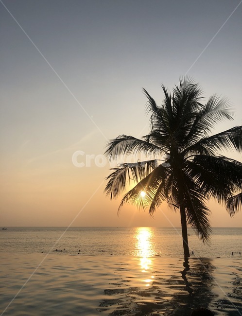 노을,석양,인피니티풀,야자수,sunset,infinitypool,palmtree