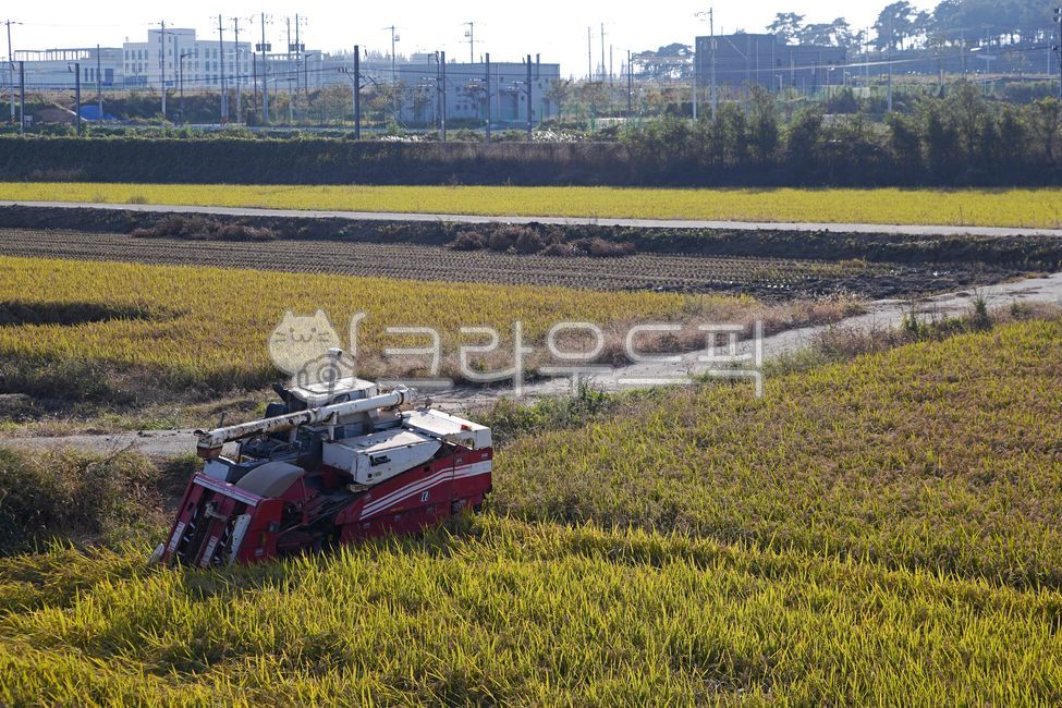 Combine,farm equipment,countryside,rural scenery,rural,rice paddy,agriculture,nature,landscape
