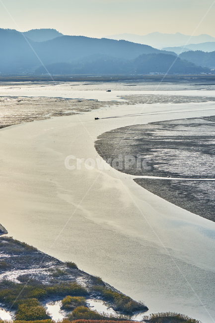 순천만습지,가을,자연,풍경,순천,순천만,갈대밭,습지,물길,자연,풍경,nature,landscape,한국자연풍경,한국자연경관,korea nature landscape,outdoors,옥외,soil,흙,scenery,land,땅,경치