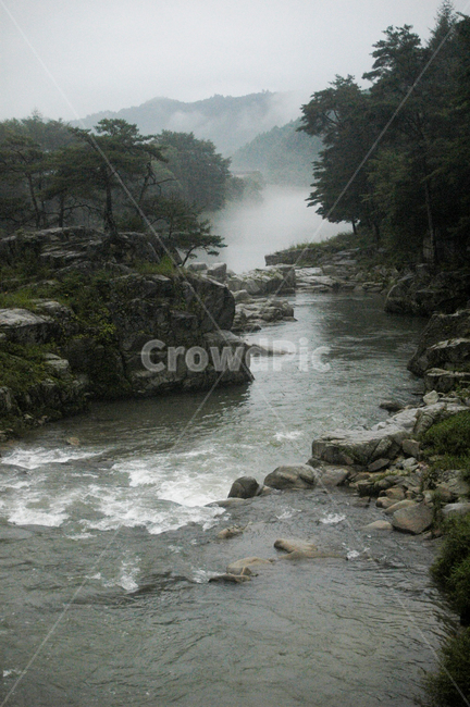 계곡,물,자연,nature,outdoors