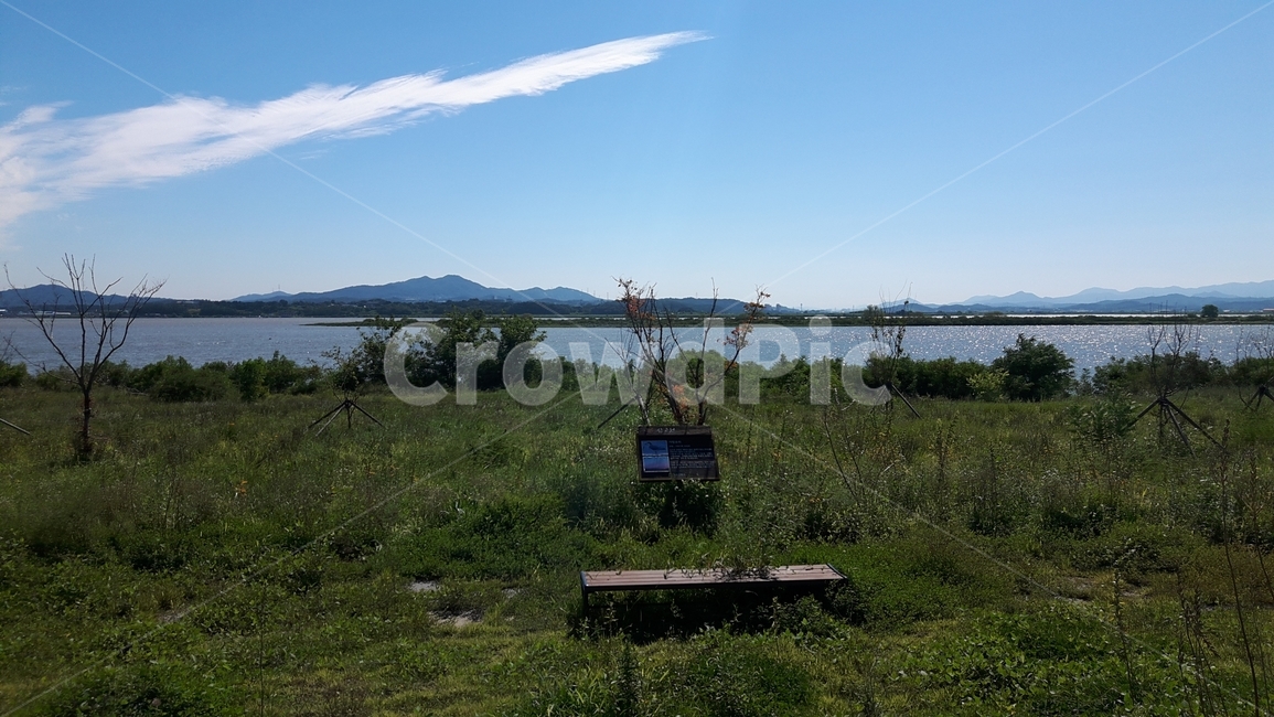 삽교천,공원,풍경,자연,하늘,하천,풀,초록색,하늘색,sky,green,nature,park,자연,풍경,nature,landscape