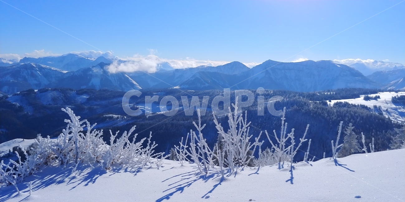 겨울,산,눈덮인,파란,등산