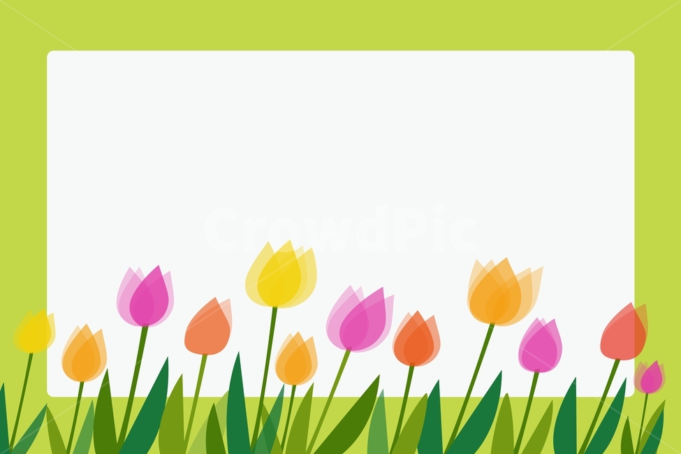 그래픽,튤립,프레임,일러스트,illustration,graphic,시즌,계절,season,tulip,banner,poster,background,포스터배경,봄배너,전단배경,flame,사각프레임,핑크색,분홍색,빨강색,오렌지색,그린프레임,녹색,초록색,봄,계절,spring,season,꽃,flower,그래픽,일러스트레이션,graphic,illustration,plant,식물
