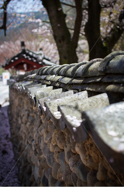 담,기와,한국전통,돌담,전통,korea,traditional,사찰,고건축,한국건축,전통건축,한국전통,한국문화,korean traditional,korean culture,건축물,건물외관,exterior,building,structure,architecture,construction