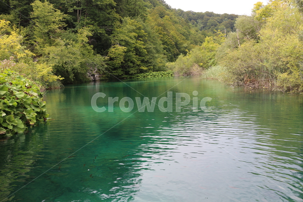 크로아티아,크로아시아,플리트비체,croatia,plitvice,plitvica,국립공원,공원,폭포,숲,요정숲,연못,강,호수,나무,여름,유럽,waterfall,pond,lake,park,tree,forest,자연,풍경,nature,landscape