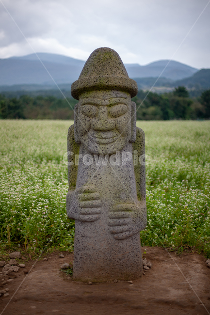돌하르방,제주,제주도,메밀꽃밭,하르방,제주하루방,제주도,jeju,jeju island,조각상,동상,석상,조형물,statue,bronze statue,stone statue