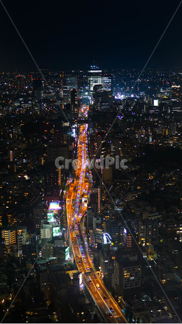 일본,야경,도시,전망대,타워,cityview,도쿄