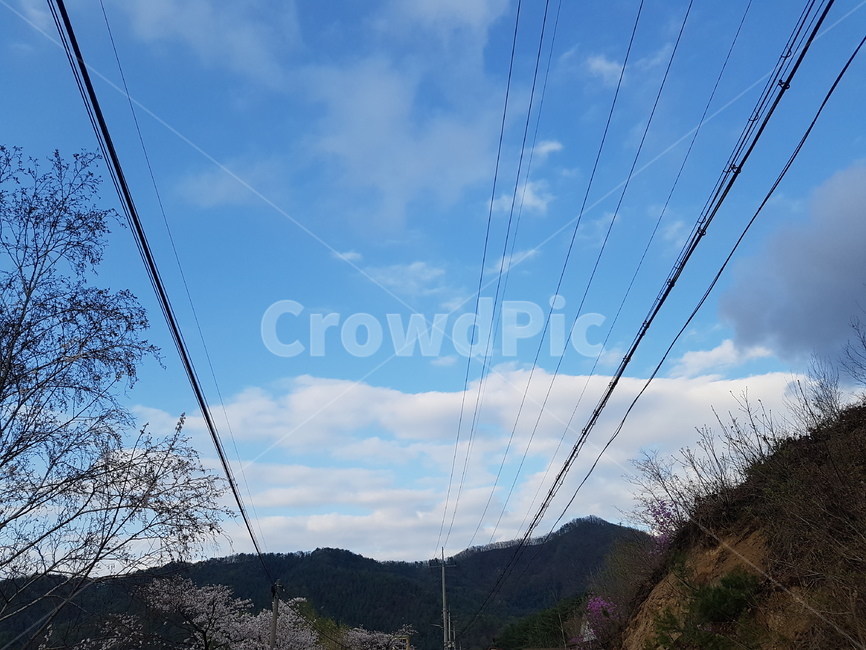 자연,아름다운,나무,고요,하늘,구름,전깃줄