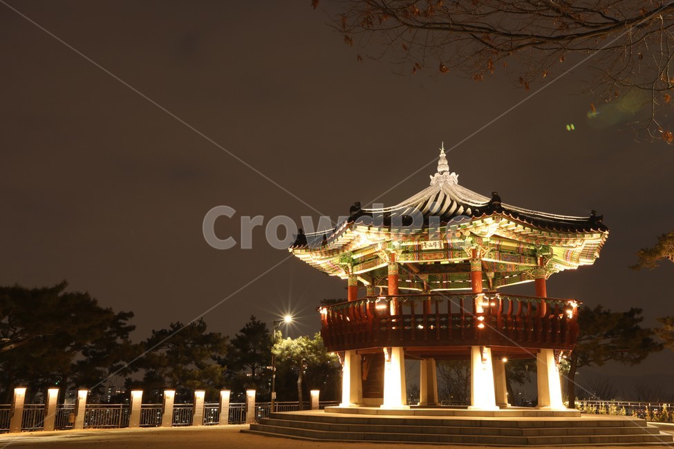 경치,야경,팔각정,쉼터,노랑,야경,밤,풍경,nightscape,night,landscape,한국전통,한국문화,korean traditional,korean culture,건축물,건물외관,exterior,building,structure,architecture,construction