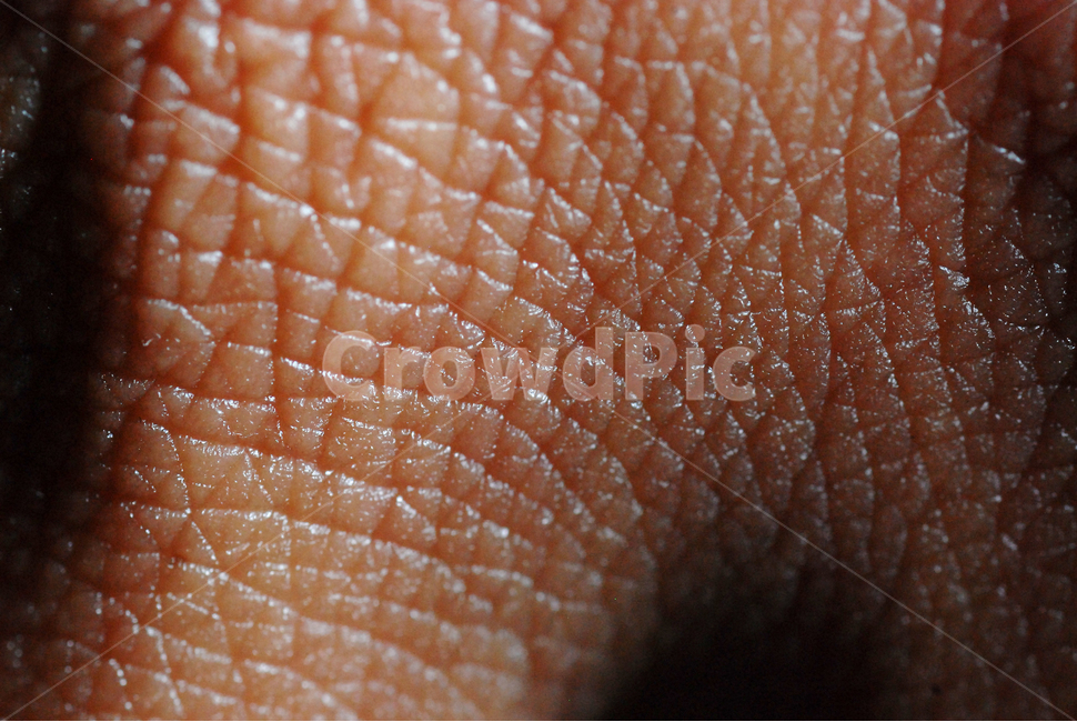 텍스쳐,질감,물건,텍스타일,스킨,텍스처,질감,패턴,texture,pattern