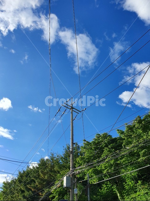 전기,전신주,전깃줄,웹,전봇대,하늘,파란,구름,electricity,utilitypole,wire,cord,cable,web
