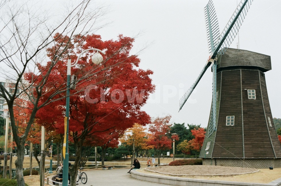 풍경,가을,울산대공원,필름카메라,필름,필름사진,landscape,autumn,fall,필카,film,view,filmcamera,가을,계절,fall,autumn,season,machine,기계,engine,엔진,motor,모터