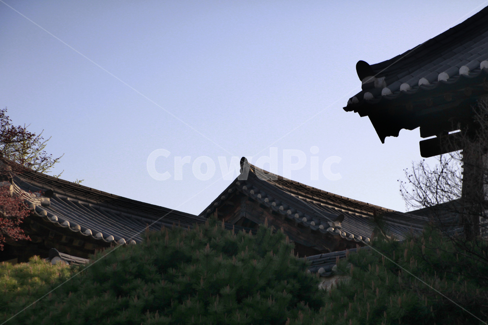 전통,전통한옥,한옥,기와집,한옥집,기와지붕,한국전통,한국문화,korean traditional,korean culture,건축물,건물외관,exterior,building,structure,architecture,construction