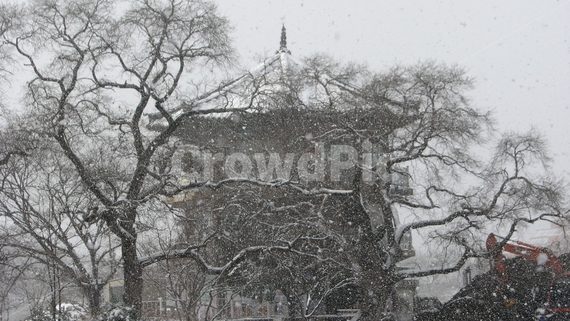 눈,snow,자연,blizzard,winter,겨울,계절,winter,season