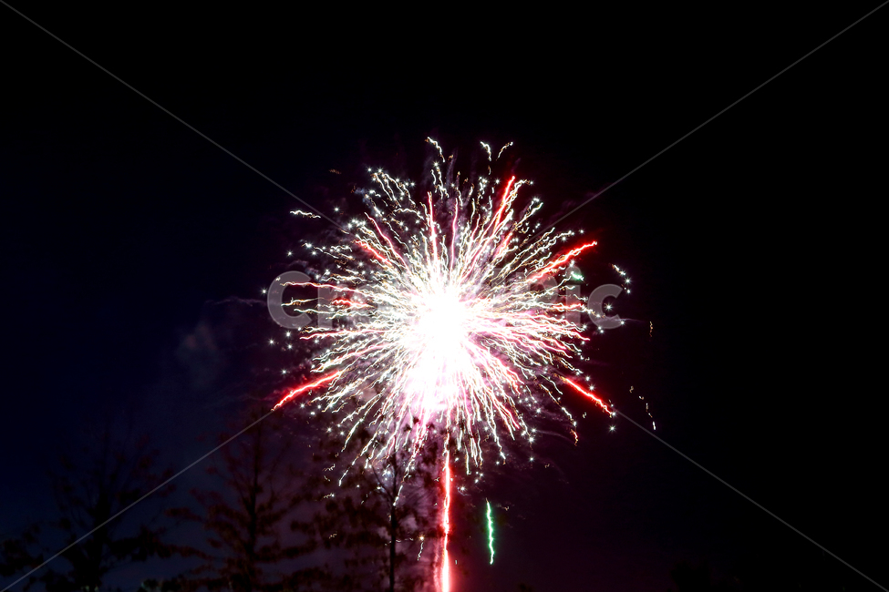 불꽃놀이,불꽃,2019년새해,새해,새날,야경,밤,풍경,nightscape,night,landscape,축제,행사,festival,carnival,event,nature,자연,outdoors,옥외