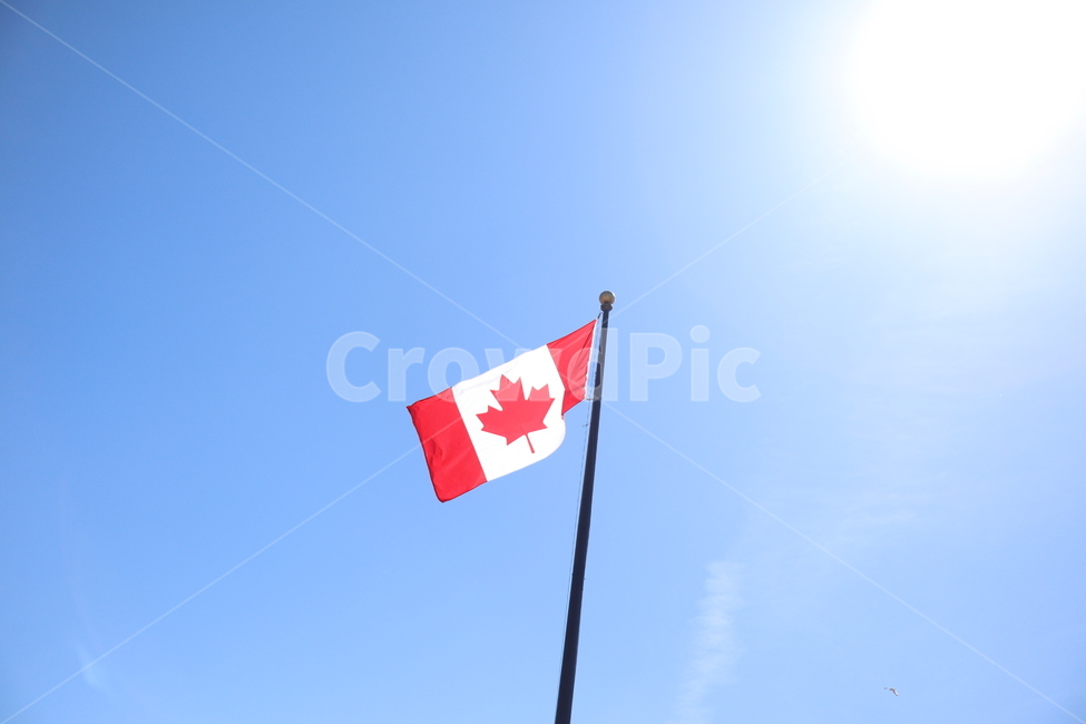 symbol,flag,깃발,canada,canadaflag,nature