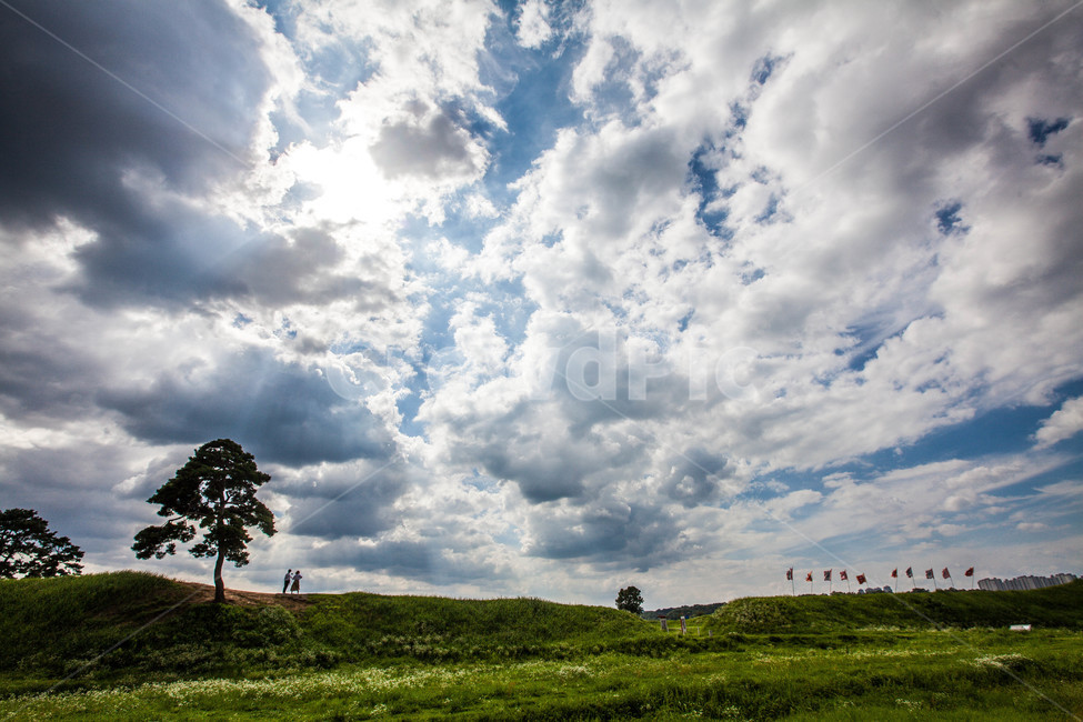 구름,cloud,하늘,sky,풍경,나무,tree,korea,자연,풍경,nature,landscape,outdoors,옥외,grassland,목초지,field,들
