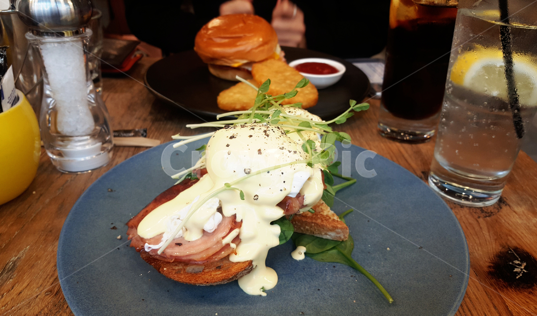 브런치,음식,요리,에그베네딕트,레스토랑,식당,분위기,맛있는,brunch,food,eggbenedict,restaurant,음식,식재료,요리,food,cook,meal,dishes,food reserves