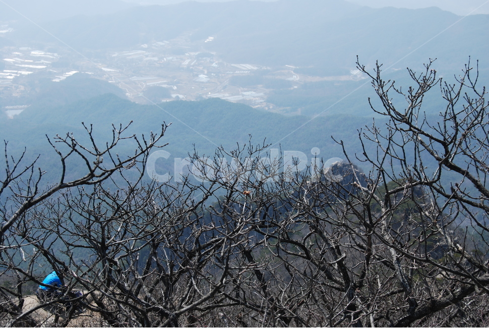 봄,spring,탐방로,trail,tree,나무,휴양지,자연,풍경,nature,landscape,outdoors,옥외