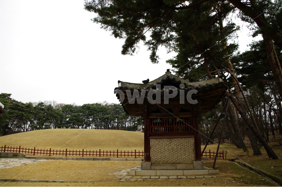 왕릉,전각,조선,한국,전통,문화유산,릉,한국전통,한국문화,korean traditional,korean culture,랜드마크,landmark,tourist attraction,한국랜드마크,한국관광지,한국명소,korea landmark,korea tourist attraction