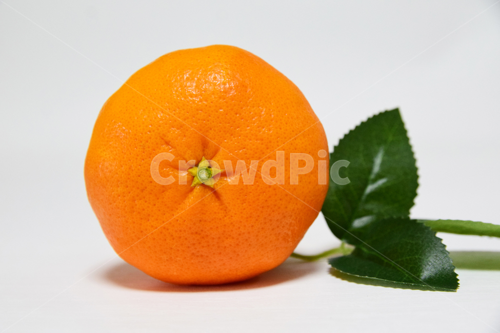 레드향,향기좋은,과일,음식,디저트,감귤류,주황색,fruit,dessert,food,orange,tangerine,음식,식재료,요리,food,cook,meal,dishes,food reserves,과일,열매,fruit