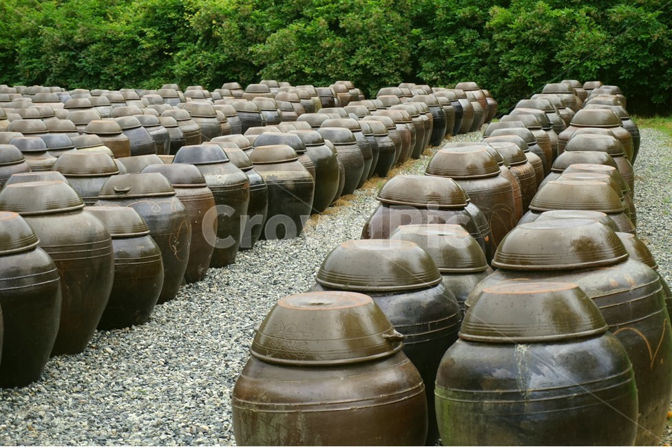 장독대,장독,자갈,그린,서운암,head,한국전통,한국전통,한국문화,korean traditional,korean culture