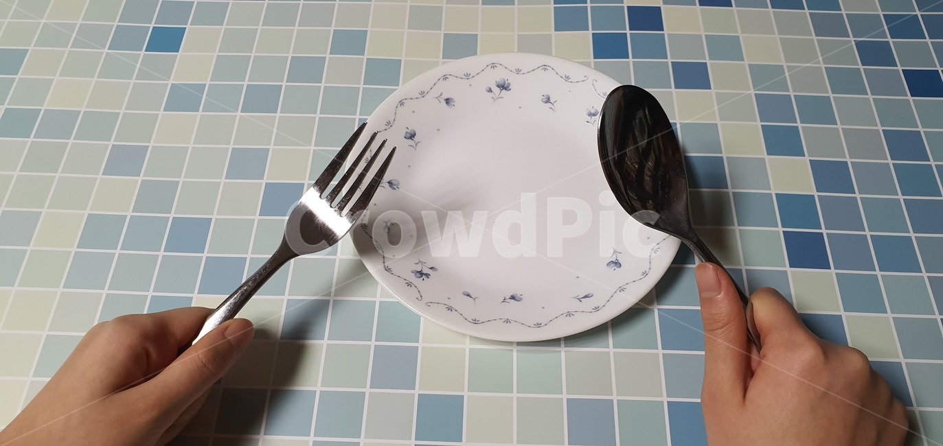 숟가락,식기,접시,식사,도구,음식,human,인간,person,사람,cutlery,fork,포크,사물,물건,오브젝트,thing,object,matter