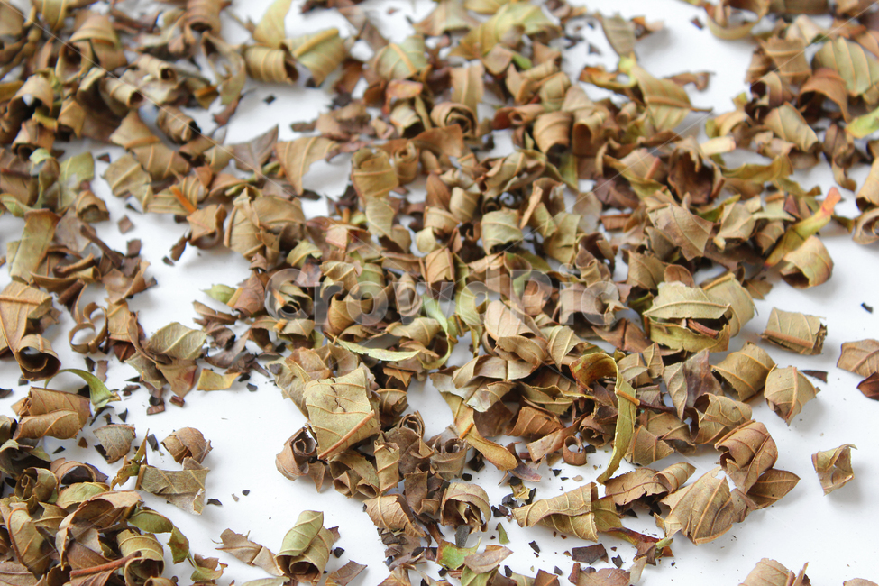 natural,nature,organic,food,healthy,plant,brown,driedleaf,dry,dryleaf,guava,guavatea,leaf,tea,white,자연,음식,식배료,차,차잎,건강,식물,브라운,갈색,말린잎,말린,건조,건조시킨,구아바,구아바잎,잎,나뭇잎,가루,흰배경,구아바차,음식,식재료,요리,food,cook,meal,dishes,food reserves