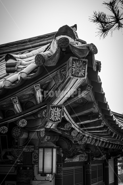 절,처마,처마끝,기와,전통건축,한국건축,전통,전통미,건물,building,건축물,사찰,architecture,지붕,roof,한국전통,한국문화,korean traditional,korean culture,흑백,모노톤,monochrome,black and white,건축물,건물외관,exterior,building,structure,architecture,construction