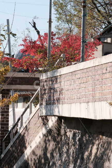 단풍,햇살,담벼락,천천히,풍경,handrail,banister,난간