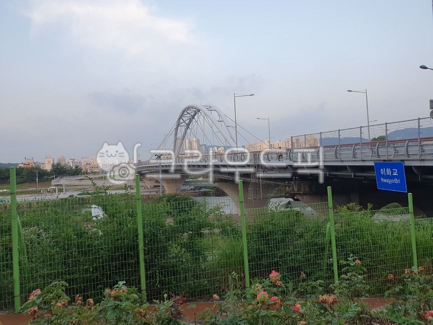 중랑천,이화교,이화교길,이화교도로,다리,동대문구,대한민국,서울특별시,서울시