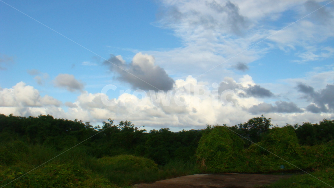 하늘,구름,guam,cloud,tree,산,나무