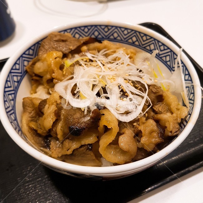 규동,일본,도쿄,소고기덮밥,일본음식,음식,식재료,요리,food,cook,meal,dishes,food reserves