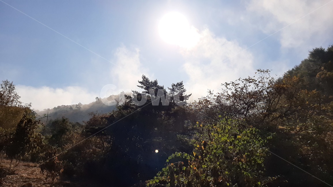 가을풍경,단풍,산행,나무,하늘,숲,풍경,자연,tree