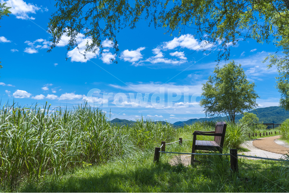 양평,여름,파란하늘,다산생태공원,하늘,자연,풍경,nature,landscape,휴식,힐링,rest,relaxation,healing,outdoors,옥외,field,들,grassland,목초지