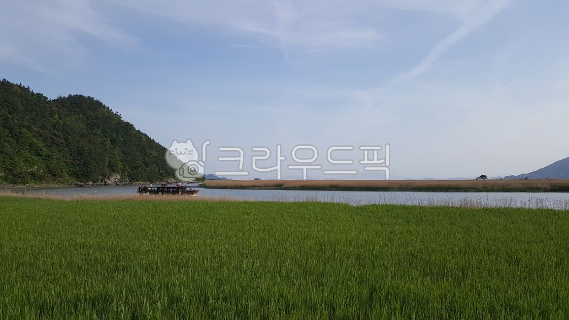 패디필드,field,필드,자연,farm