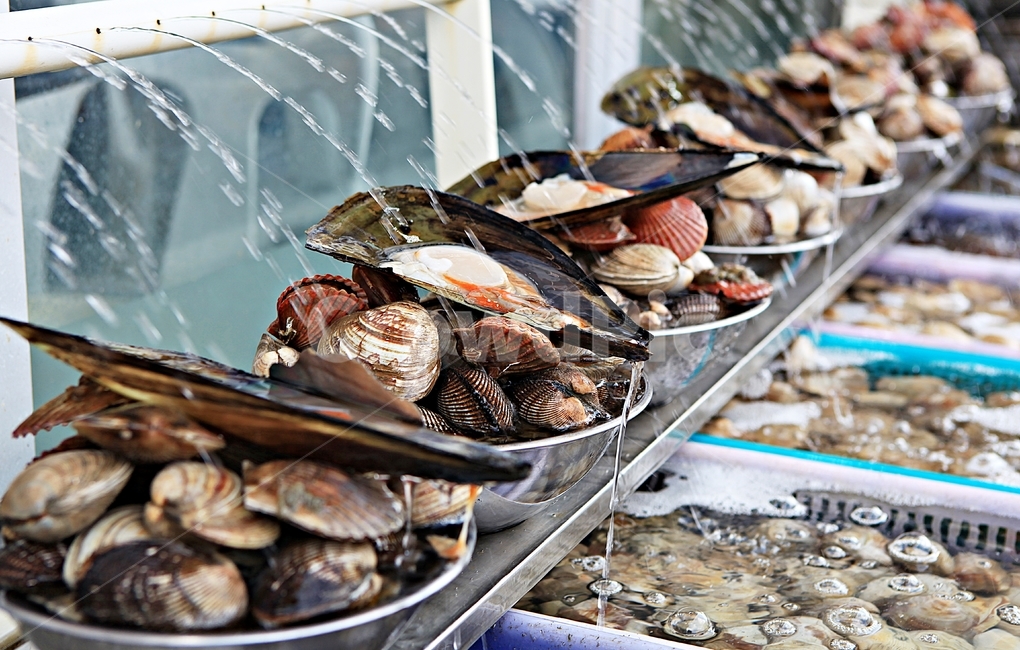 조개,조개살,조개껍데기,식자재,음식,요리,시장,마트,마켓,market,mart,market place,음식,식재료,요리,food,cook,meal,dishes,food reserves,수산물,해산물,fishery products,seafood