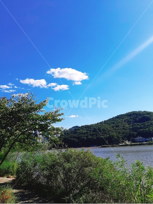 하늘,구름,나무,가을,배경화면,자연,풍경,nature,landscape,outdoors,옥외,water,물