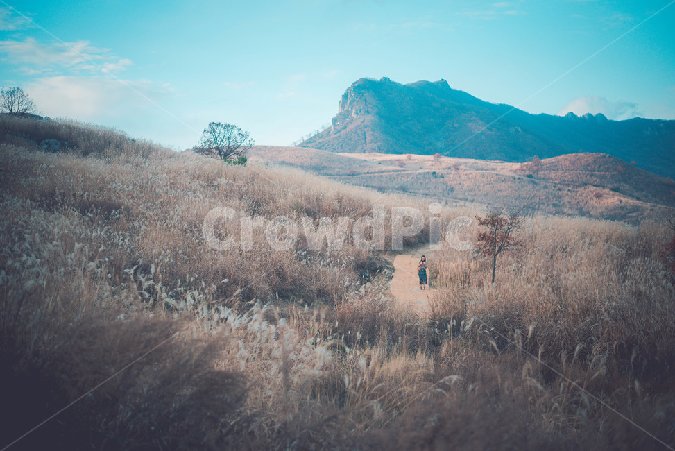 nature,자연,outdoors,옥외,ground,자연,풍경,nature,landscape