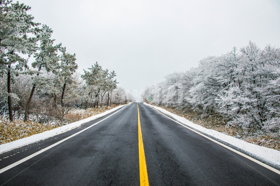 눈,설경,한라산설경,풍경,snow,landscape,1100고지,겨울,계절,winter,season,교통,교통수단,traffic,transportation