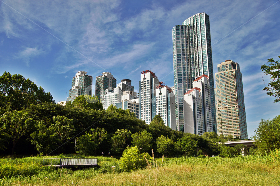 타워팰리스,도곡동,주상복합,빌딩,고층빌딩,양재천,주거지,자연,도시,풍경,city,landscape,한국도시풍경,한국도시경관,korea cityscape