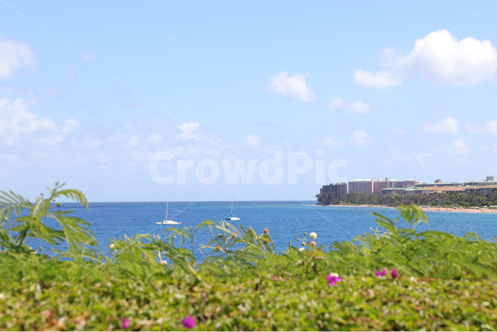 land,나라,outdoors,옥외,nature,자연,shoreline,해안선,water,물,ocean,sea,대양,바다,coast,연안,자연,풍경,nature,landscape