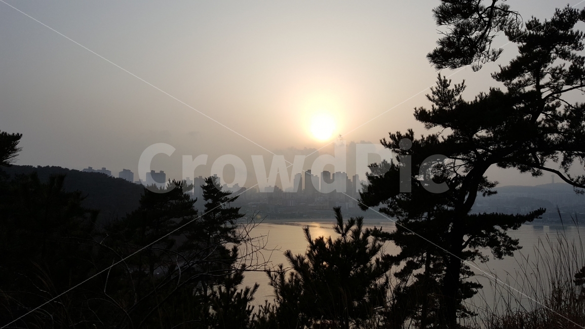 석양,소나무,일산,공원,건물,울산,힐링,도시,풍경,city,landscape,nature,자연,weather,날씨,light,빛,flare,플레어,outdoors,옥외,tree,나무,plant,식물