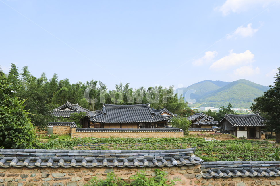 한옥,한국,전통,기와,돌담,지붕,배경,백그라운드,시골,마을,풍경,landscape,country,rural,town,한국전통,한국문화,korean traditional,korean culture,건축물,건물외관,exterior,building,structure,architecture,construction