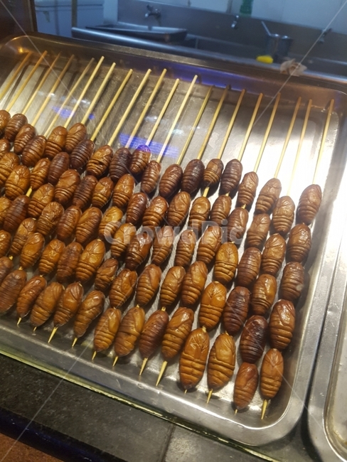 번데기,중국,꼬치,맛집,맛있는,음식,식재료,요리,food,cook,meal,dishes,food reserves,중식,중국음식,중화요리,chinese food,chinese dishes,chinese meal,chinese cook,디저트,간식,후식,dessert,snack